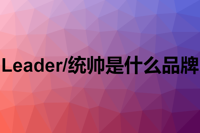 Leader/统帅是什么品牌，怎么加入自己的供应链？
