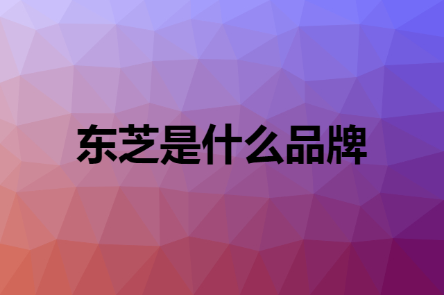 东芝是什么品牌，怎么加入自己的供应链？