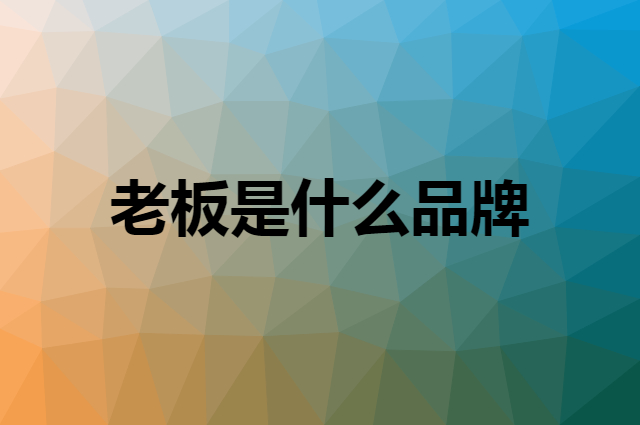 老板是什么品牌，怎么加入自己的供应链？